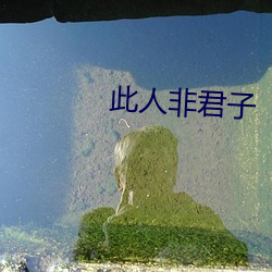 此人非君子