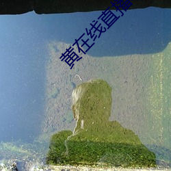 918博天堂·(中国)手机版客户端