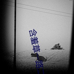 含羞草一路二路三路