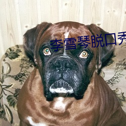 李雪琴脫口秀