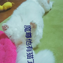 魔尊他(他)有猫(貓)了(了)