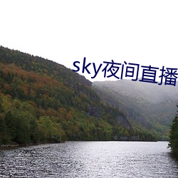 sky夜间(間)直播间(間)