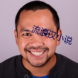 流浪(浪)汉(漢)小说