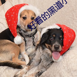 好看的黑道小(xiǎo)说
