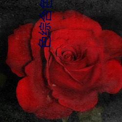 色综合(合)色欲色综合(合)色(色)综合(合)色综(綜)合(合)r