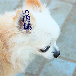 禁忌5