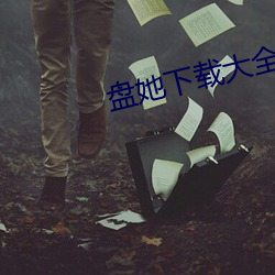 盘她下载大全