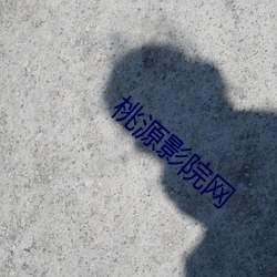 桃源影院网