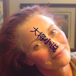 大(大)将小(小)说