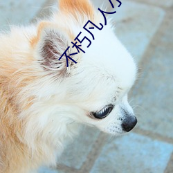 不朽凡人小说