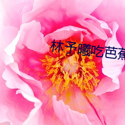林予曦吃芭蕉访谈 （折胶堕指）