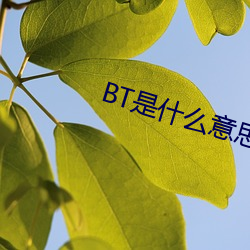 BT是什(什)么(麽)意思