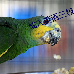 成人英语三级