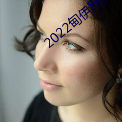2022甸伊网页
