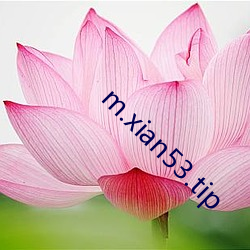m.xian53.tip