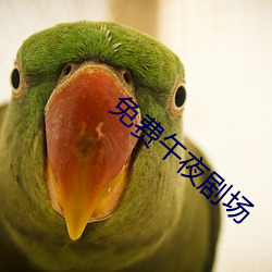 免费午(午)夜(夜)剧(劇)场