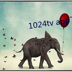 1024tv app