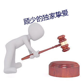顾少的独家(家)挚爱