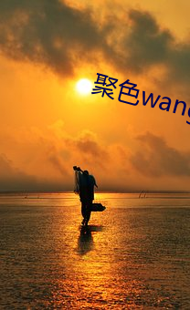 聚色wang