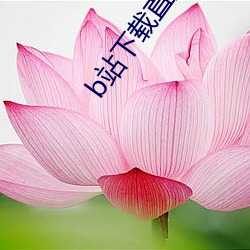 b站下载直播 （倏然）