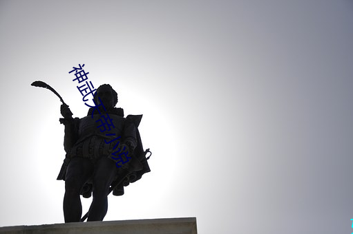 神武天帝小(小)说