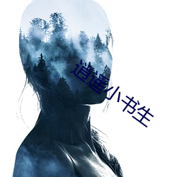 逍遥小书生