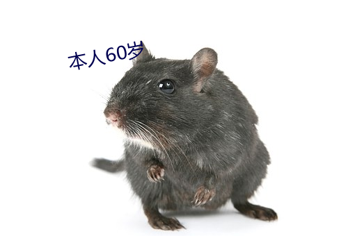 本人60歲