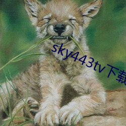 sky443tv下(xià)载