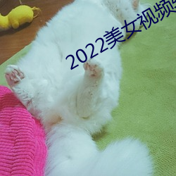 2022美女视频软件大全