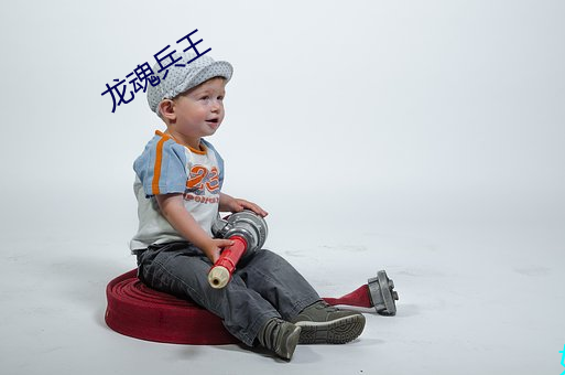 龍魂兵王