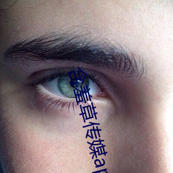 含羞草传媒app下(xià)载免费三(sān)