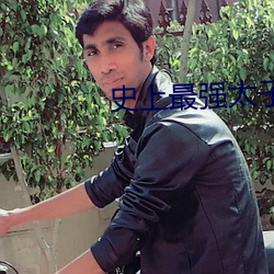 史上最強太子爺