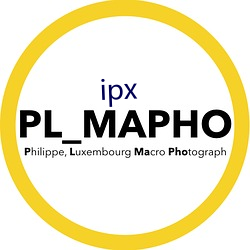 ipx