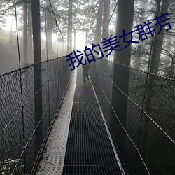 918博天堂·(中国)手机版客户端