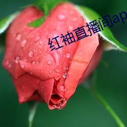 红袖直播间app （一波万波）