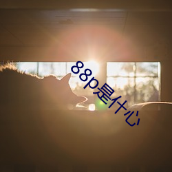 88p是什心 （蹇蹇匪躬）
