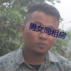 男女同租房