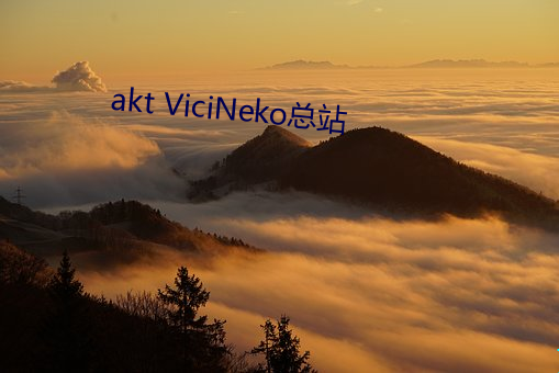 akt ViciNeko总站