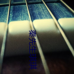 秦先生琪琪