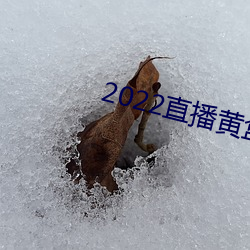 2022直(直)播黄盒子(子)