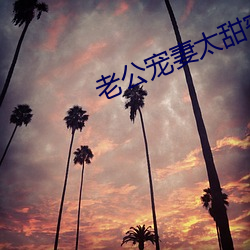 老公寵妻太甜蜜