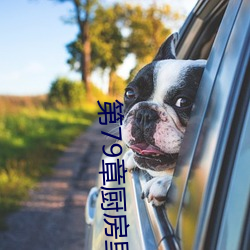 第79章(zhāng)厨房(fáng)里的欢愉(yú)