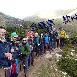 含羞草，软件 （悉索敝赋