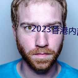 2023ڲ 䣩