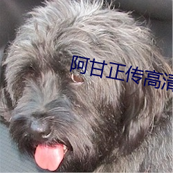 阿甘正传高清
