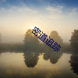 密道追(追)踪