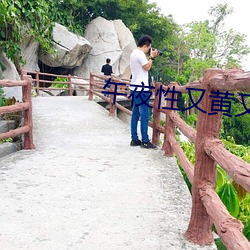 午夜性又黄又爽免费看尤