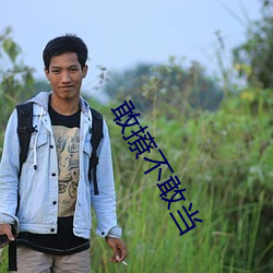 敢撩不敢當