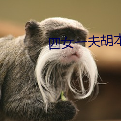 四女一夫胡本兴 水汽）