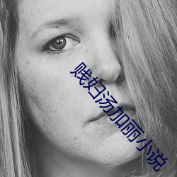 贱妇汤加丽小说